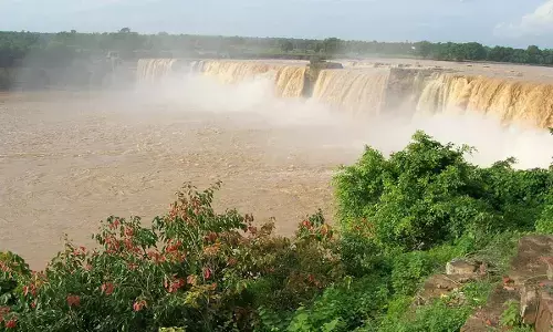 उफान पर चित्रकोट जलप्रपात