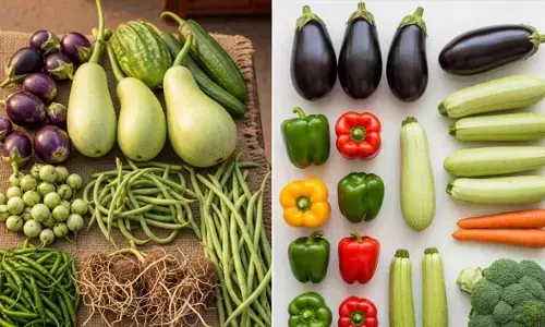 how to identify difference between Desi and hybrid vegetables