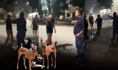 man slapped female dog lover in Ghaziabad