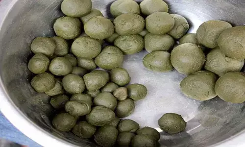 भांग खरीदी में बड़ा बदलाव : 25 लाख रुपए सालाना फीस पर मिलेगा ठेका