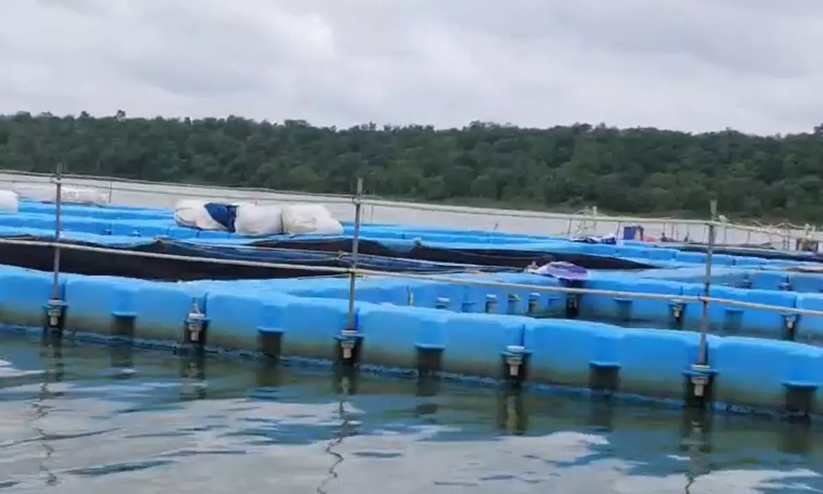 सिकासेर डैम में डूबा युवक: साथी के साथ गया था मछली पकड़ने, 68 घंटे बाद मिला शव