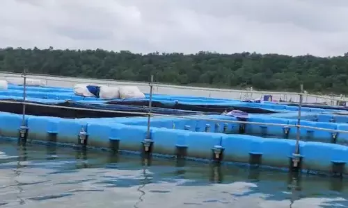 सिकासेर डैम में डूबा युवक: साथी के साथ गया था मछली पकड़ने, 68 घंटे बाद मिला शव