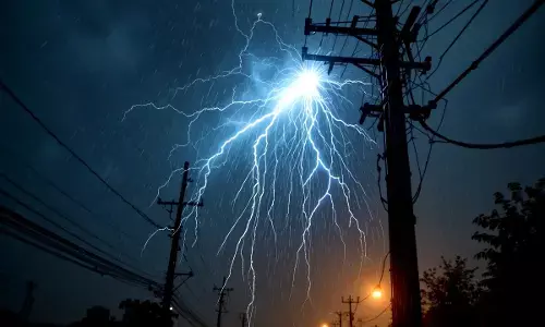 mechanic died contact electric pole