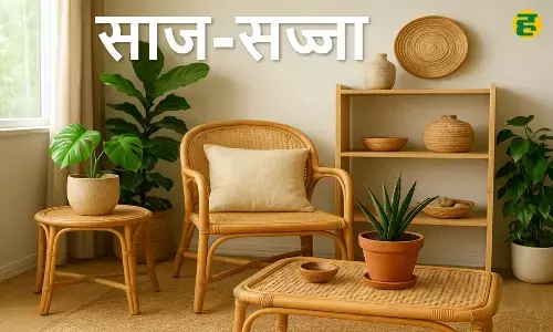 Home Decoration: Give a natural and stylish look to the house, make it eco-friendly like this Home Decoration: Give a natural and stylish look to the house, make it eco-friendly like this