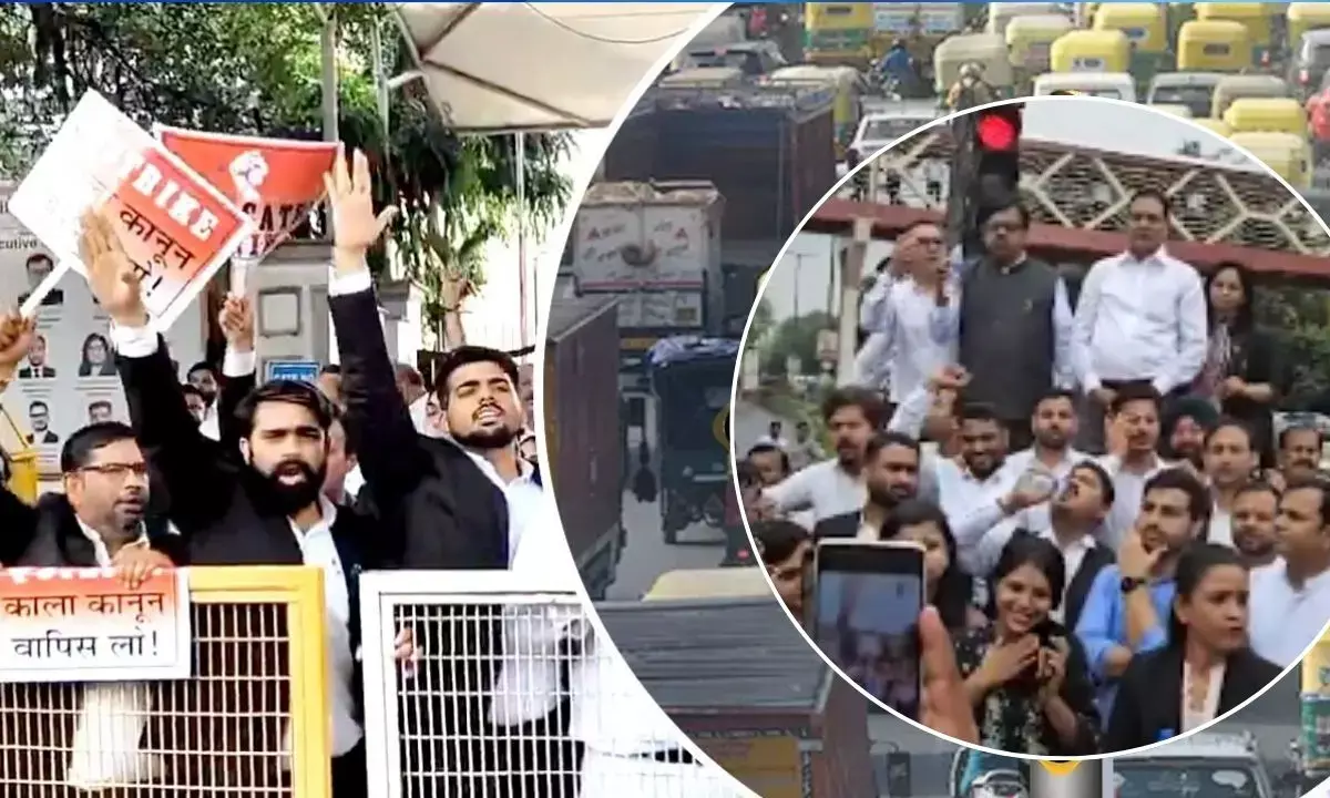 Delhi Lawyers Strike