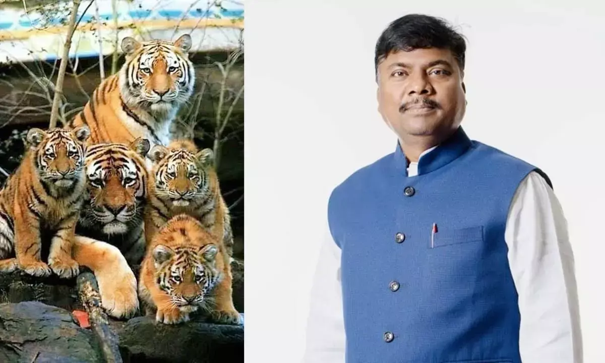 वनमंत्री केदार कश्यप की संवेदनशील पहल