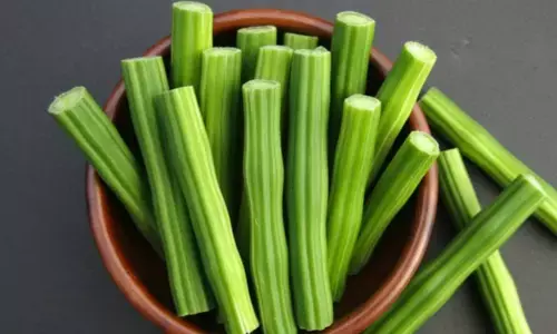 moringa side effects sahjan fali ke nuksaan