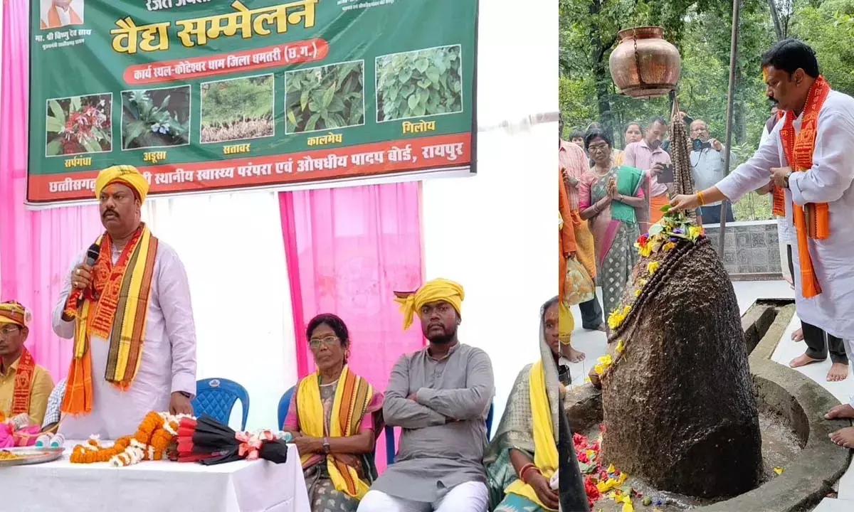 वैद्यराज सम्मेलन