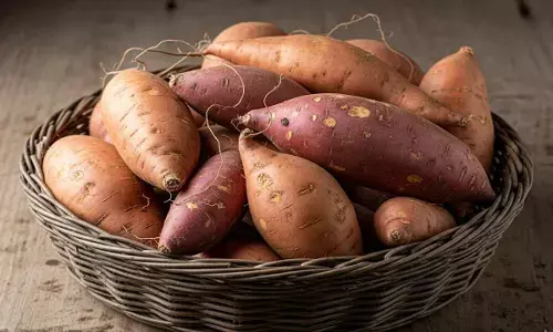 sweet potato health benefits