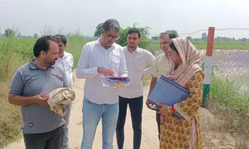 Cm flying raid hisar