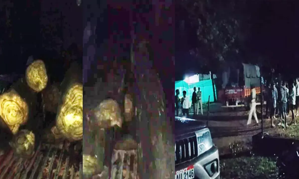 सागौन लकड़ी की तस्करी