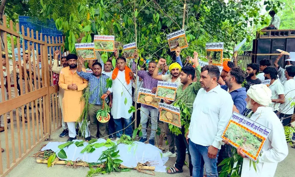 naveen jaihind protest tree save