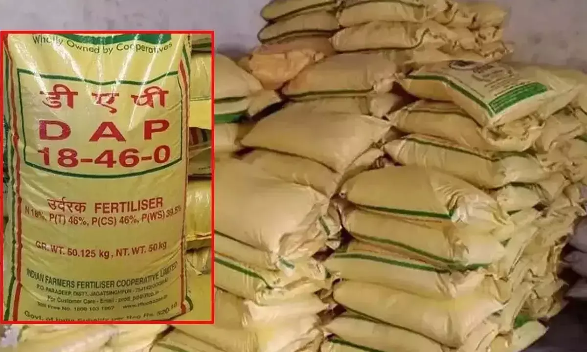 डीएपी खाद