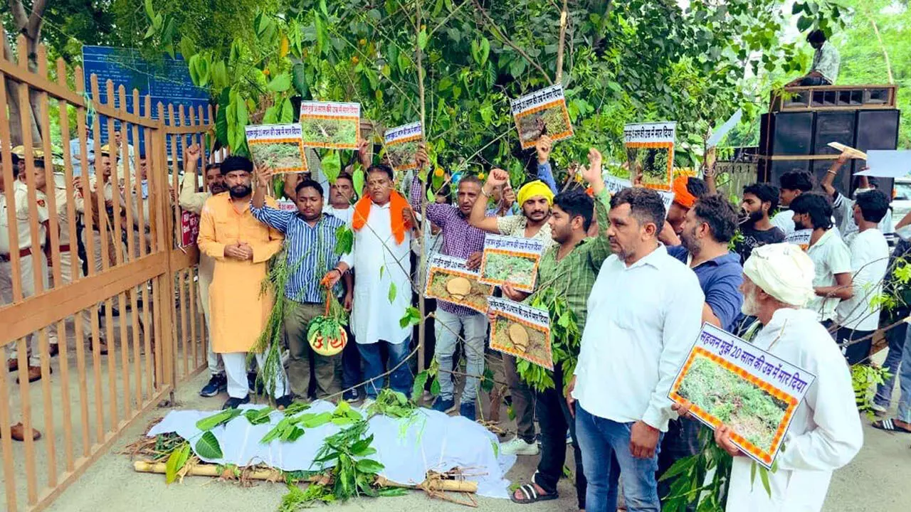 naveen jaihind protest tree save