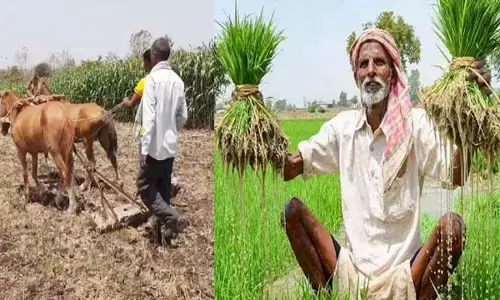 भगवान बलराम जयंती पर किसान दिवस