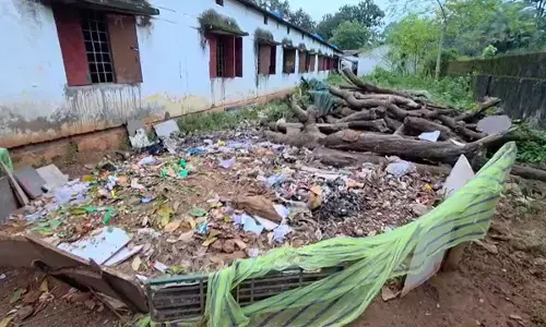 Pakela- potacibphenyl