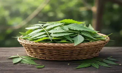neem leaves domestic uses