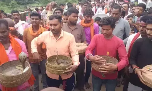 गरियाबंद में जहरीले सांपों की शोभायात्रा : ऋषि पंचमी पर देवरी गांव में अनोखी परंपरा