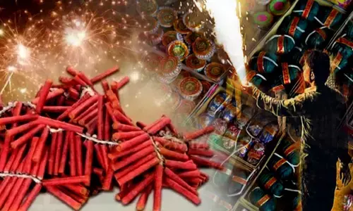 Firecracker Ban in Delhi-NCR