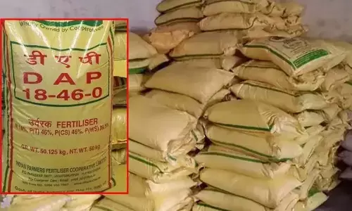 डीएपी खाद
