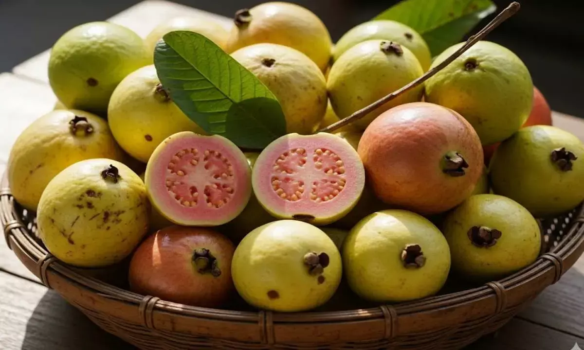 guava buying tips amrood kharidne ke tarike