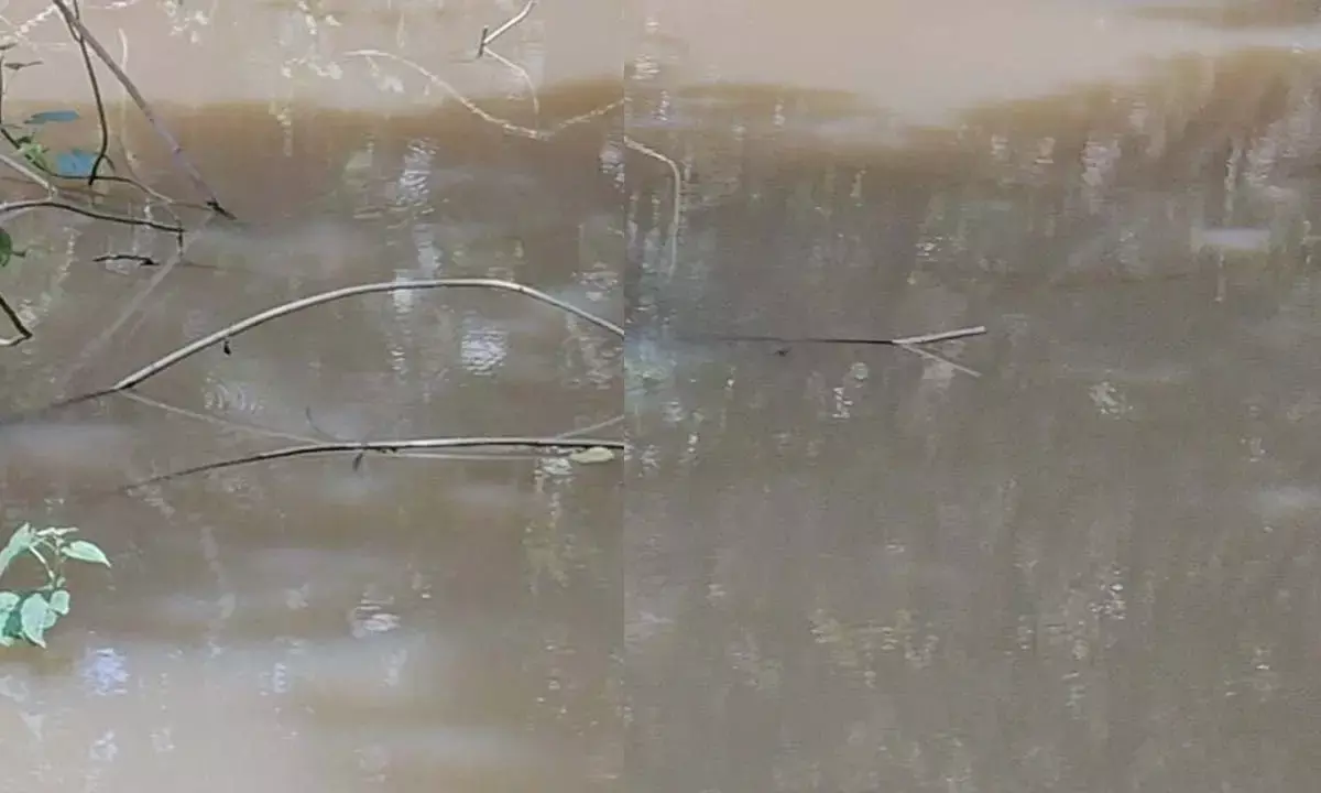 बुजुर्ग महिला डबरी में डूबी : नशे के हालत में हुई मौत, 16 घंटे बाद भी नहीं पहुंची पुलिस