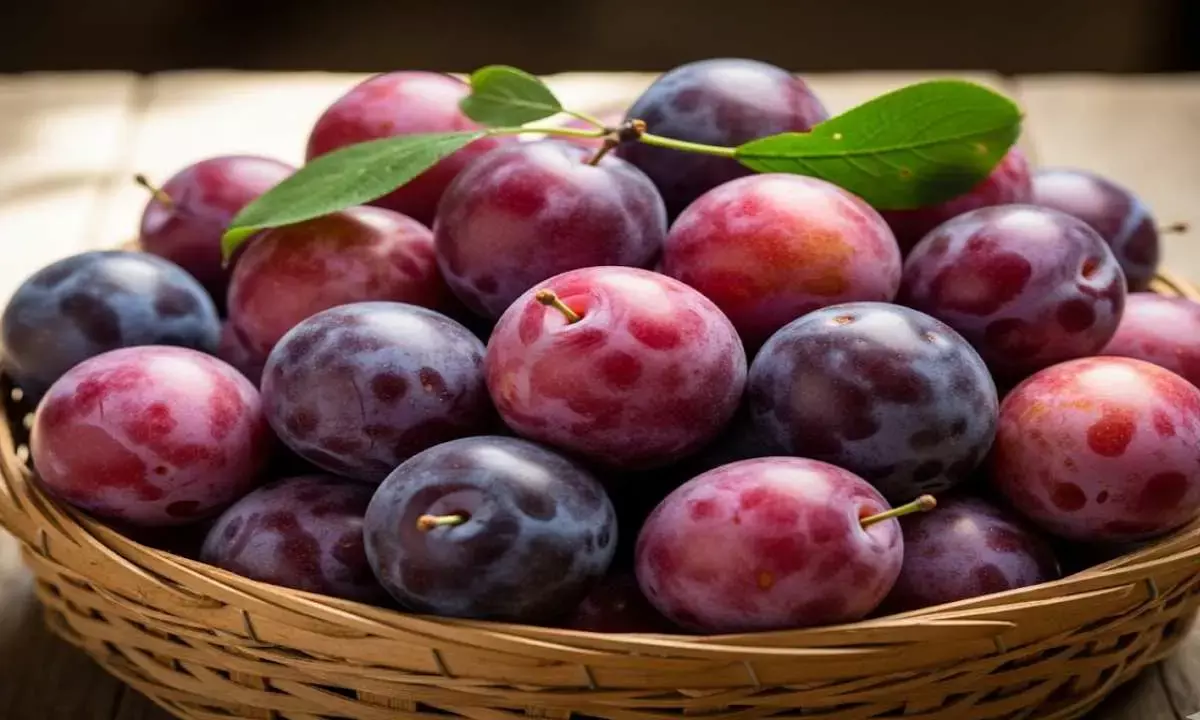 aloo bukhara ke fayde plum health benefits