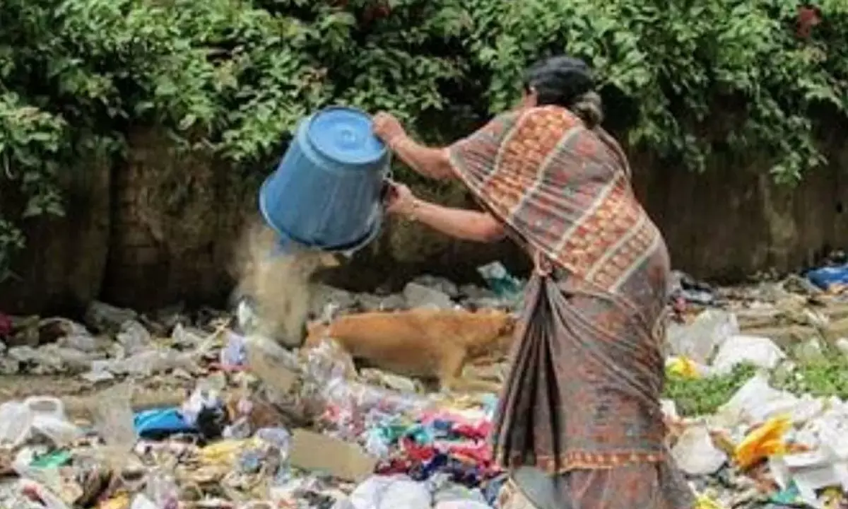 कचरा फेंकते हुए कचरा फेंकते हुए