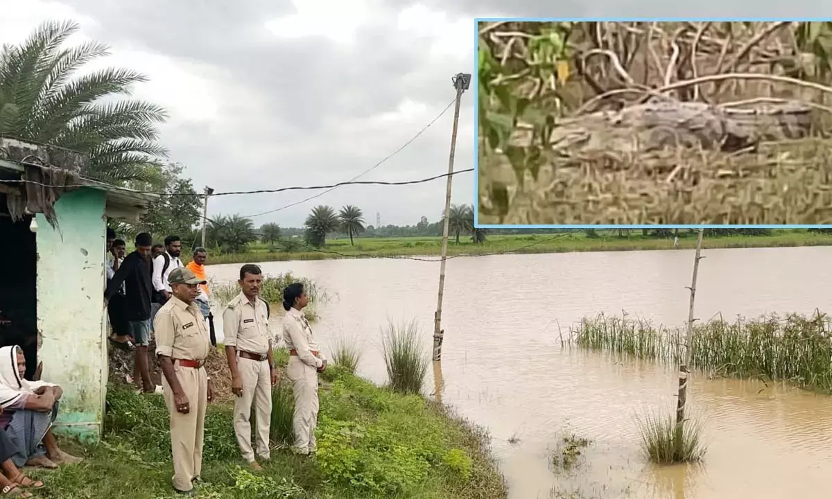 वन विभाग की टीम