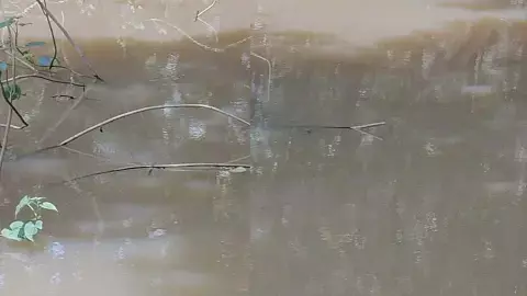 बुजुर्ग महिला डबरी में डूबी : नशे के हालत में हुई मौत, 16 घंटे बाद भी नहीं पहुंची पुलिस बुजुर्ग महिला डबरी में डूबी : नशे के हालत में हुई मौत, 16 घंटे बाद भी नहीं पहुंची पुलिस