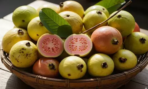 guava buying tips amrood kharidne ke tarike