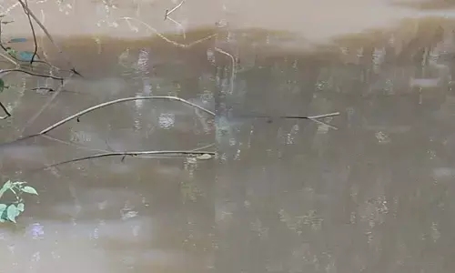 बुजुर्ग महिला डबरी में डूबी : नशे के हालत में हुई मौत, 16 घंटे बाद भी नहीं पहुंची पुलिस