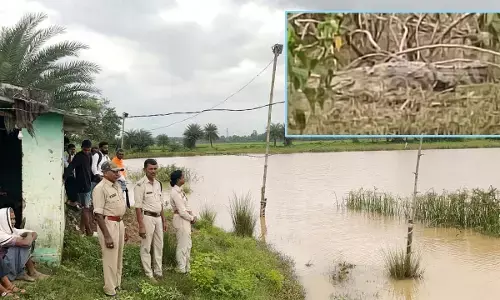 वन विभाग की टीम