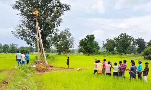 इलेक्ट्रिक पोल