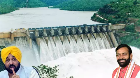 bhakra punjab haryana flood