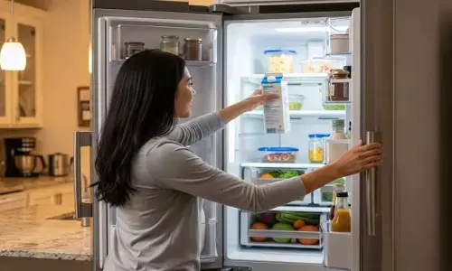 fridge maintanace tips
