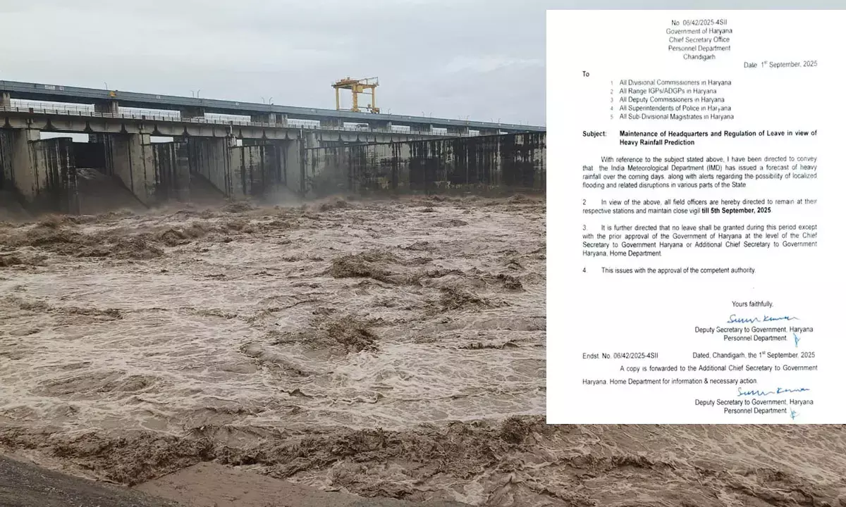 haryana flood update news heavy rain