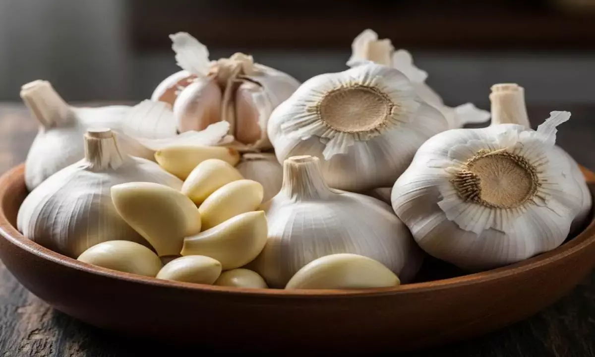 garlic health benefits Lahsun khane ke fayde