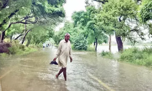 haryana flood update news