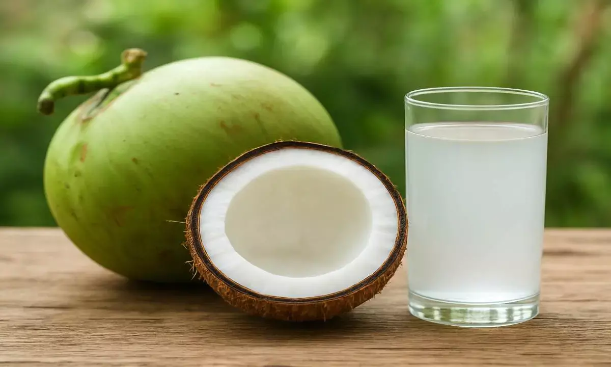 coconut water health benefits