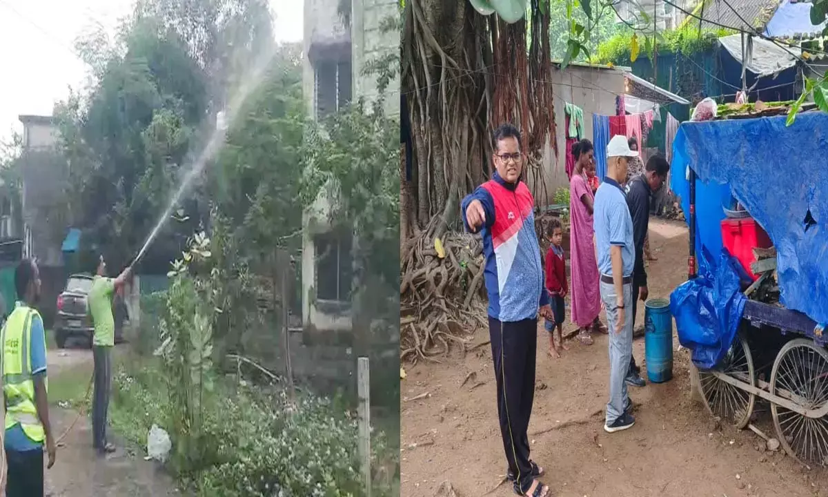 रायगढ़ में व्यापक डेंगू नियंत्रण अभियान : गली-गली में किया जा रहा दवा का छिड़काव, लोगों से सतर्क रहने की अपील