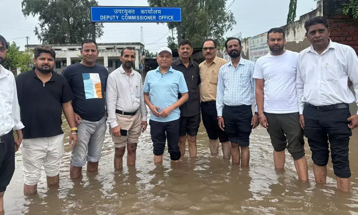 haryana flood update news heavy rain