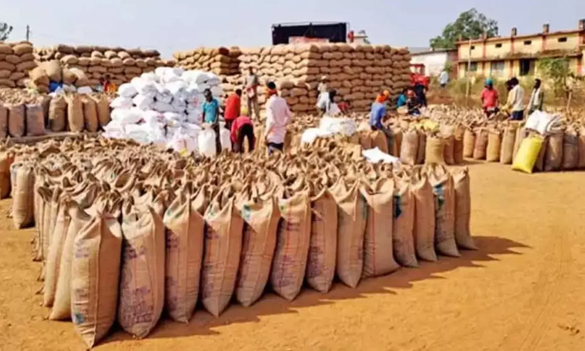 धान बेचने के लिए पंजीयन में बाधाएं : शहरी किसान ज्यादा परेशान