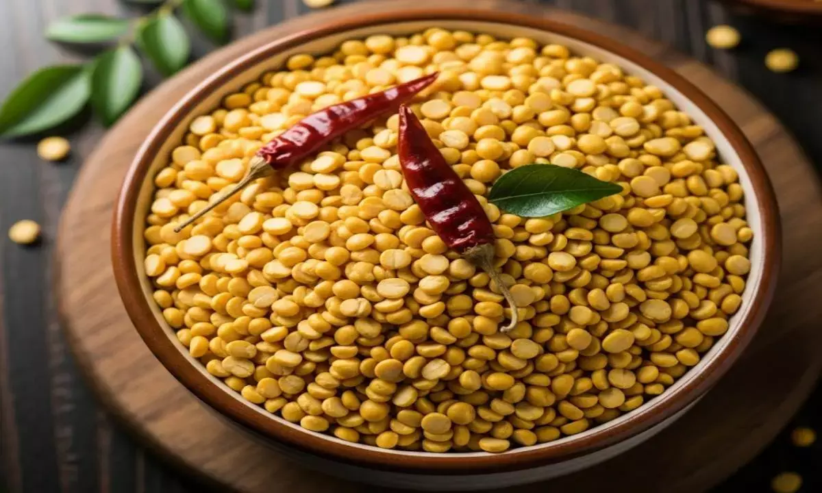 chana dal ke nuksan gram pulses side effects