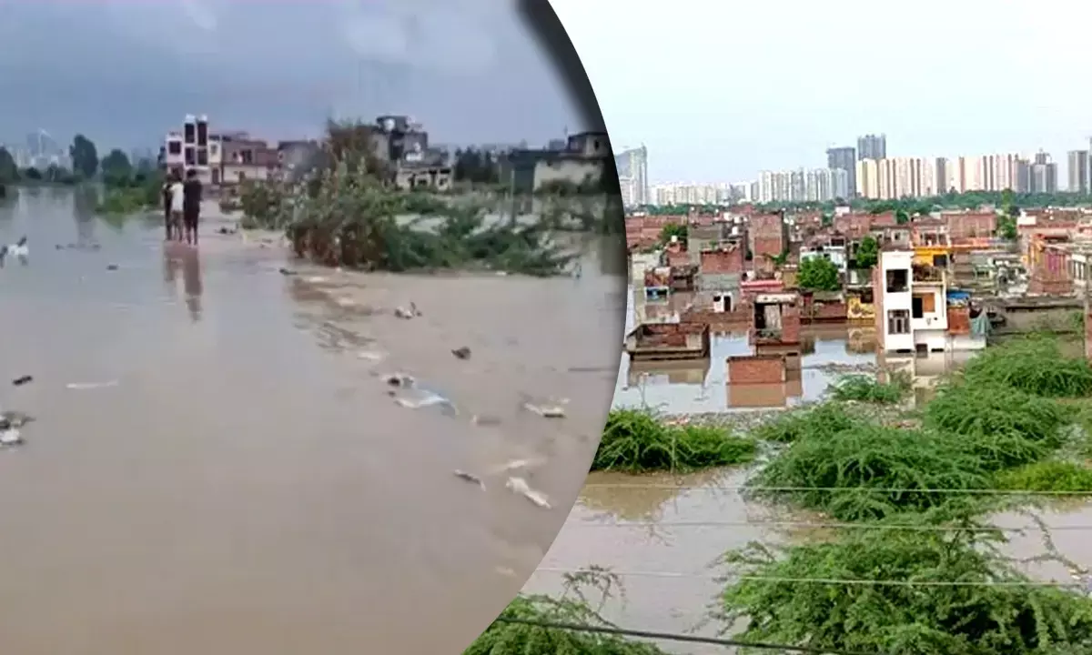 Faridabad Yamuna Flood