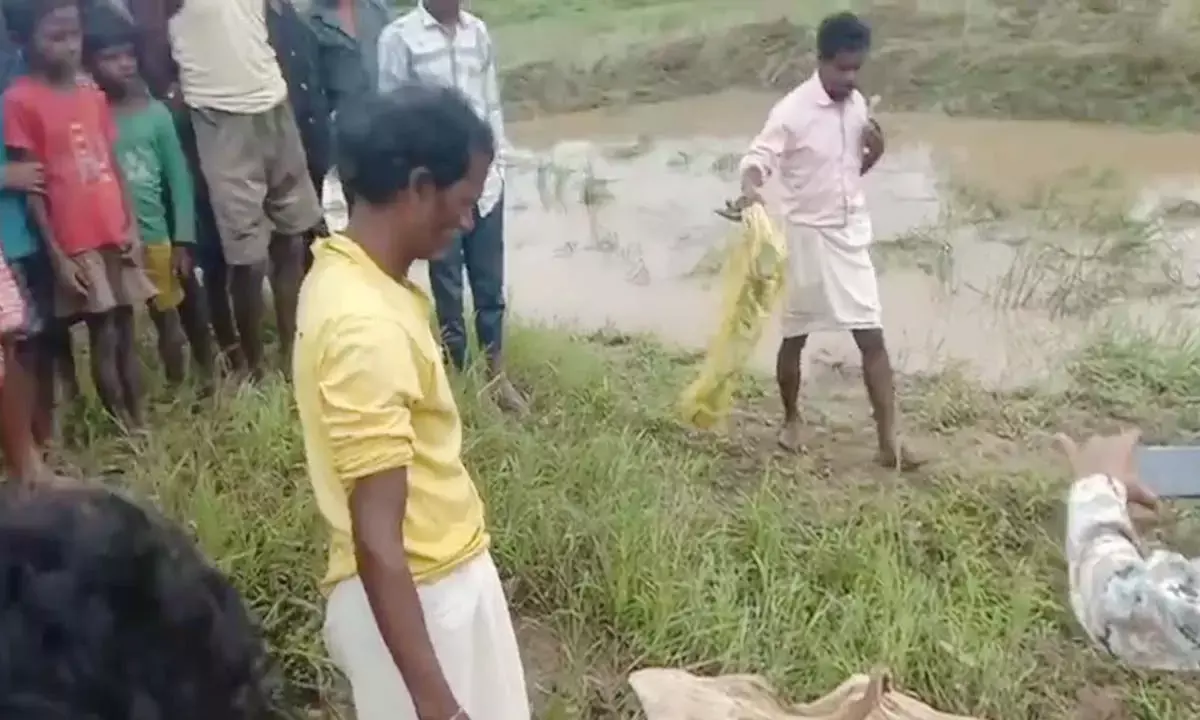 गांव में फैली सनसनी