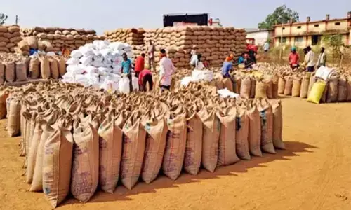 धान बेचने के लिए पंजीयन में बाधाएं : शहरी किसान ज्यादा परेशान