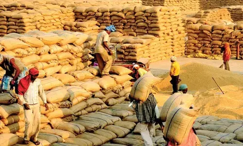 धान खरीदी की नई नीति : केन्द्रों को मिलेगी, फाइव स्टार तक की रेटिंग