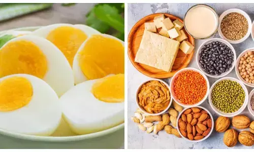 Protein rich vegetarian foods