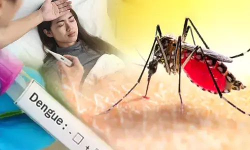 Dengue Cases in Noida